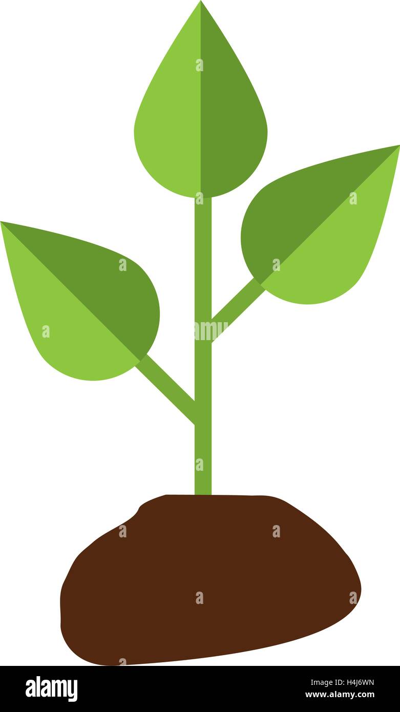 leafs plant ecology symbol Stock Vector Image & Art - Alamy