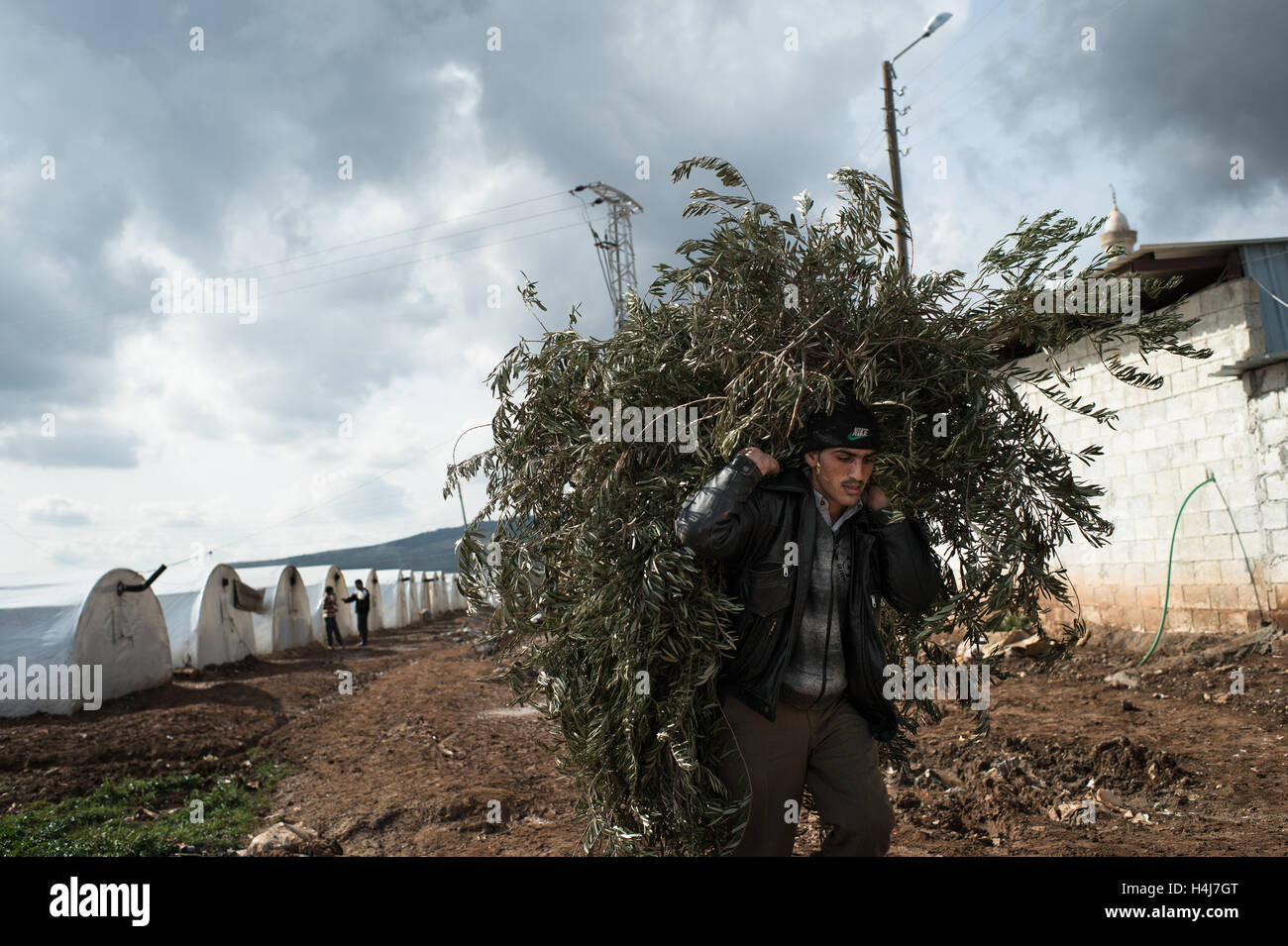 Azaz refugee camp daily life -  19/02/2013  -  Syria / Aleppo / Azaz  -  A refugee of the Azaz camp carries olive tree branches to make fire in his tent.The Azaz refugee camp, north of Syria, welcomes families trying to escape fightings between the Syrian governmental army and the Free Syrian Army.  According to NGO 'Medical Relief for Syria', some 10.000 people live in the camp in worrying sanitary conditions.                                        -  Edouard Elias / le Pictorium Stock Photo