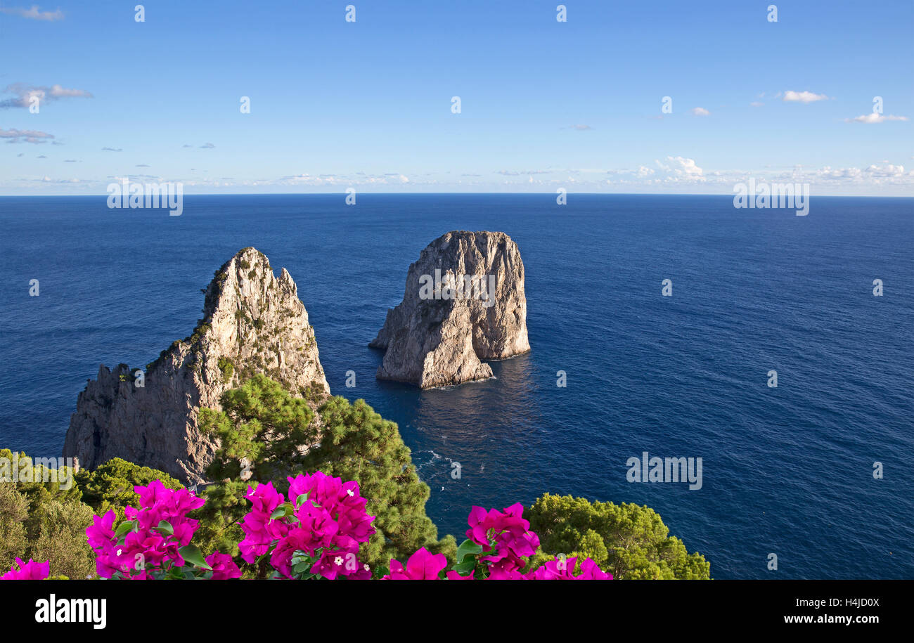 Faraglioni rocks in Capri Stock Photo - Alamy