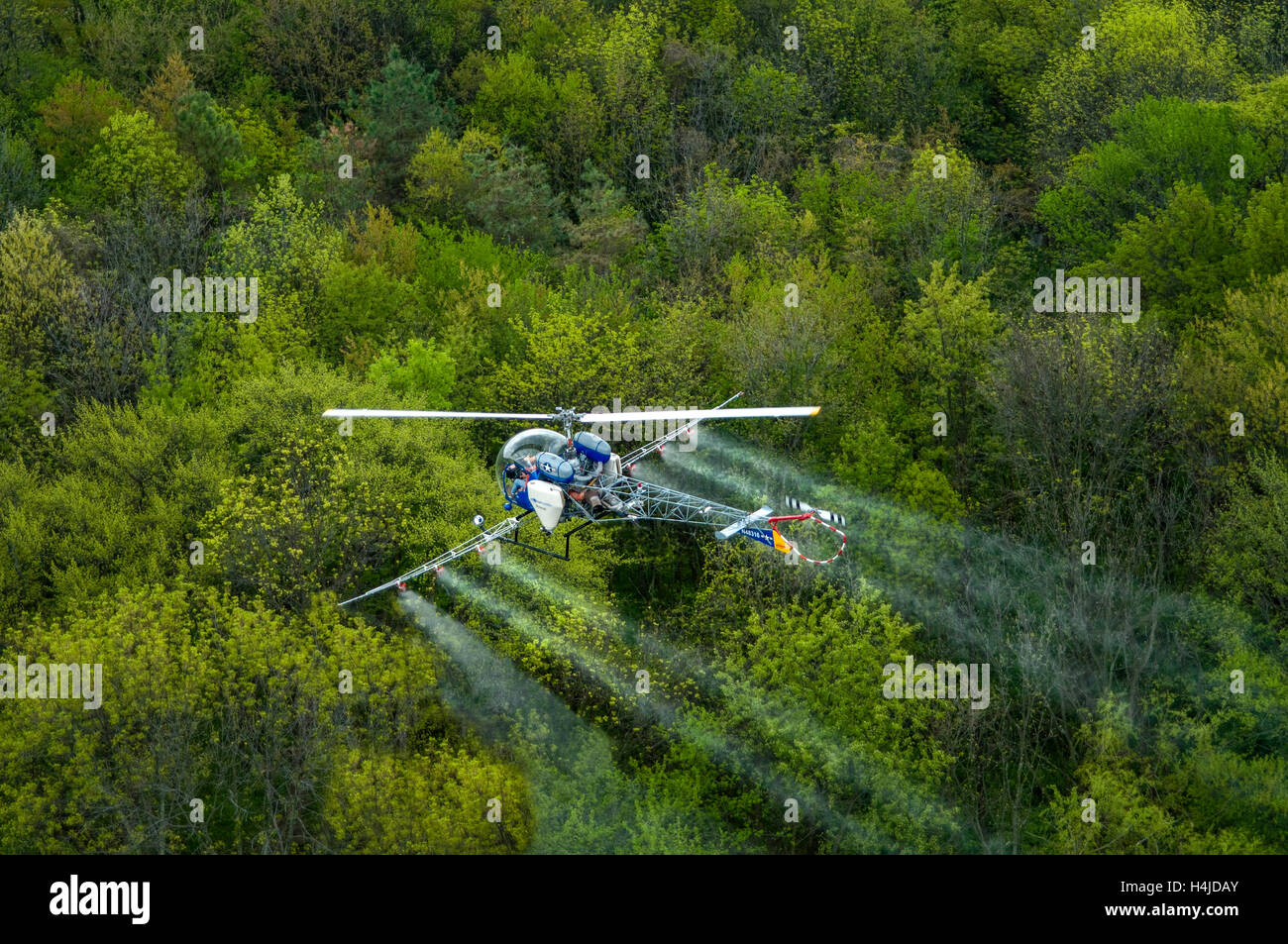 Helicopter spraying tree farm Stock Photo Alamy