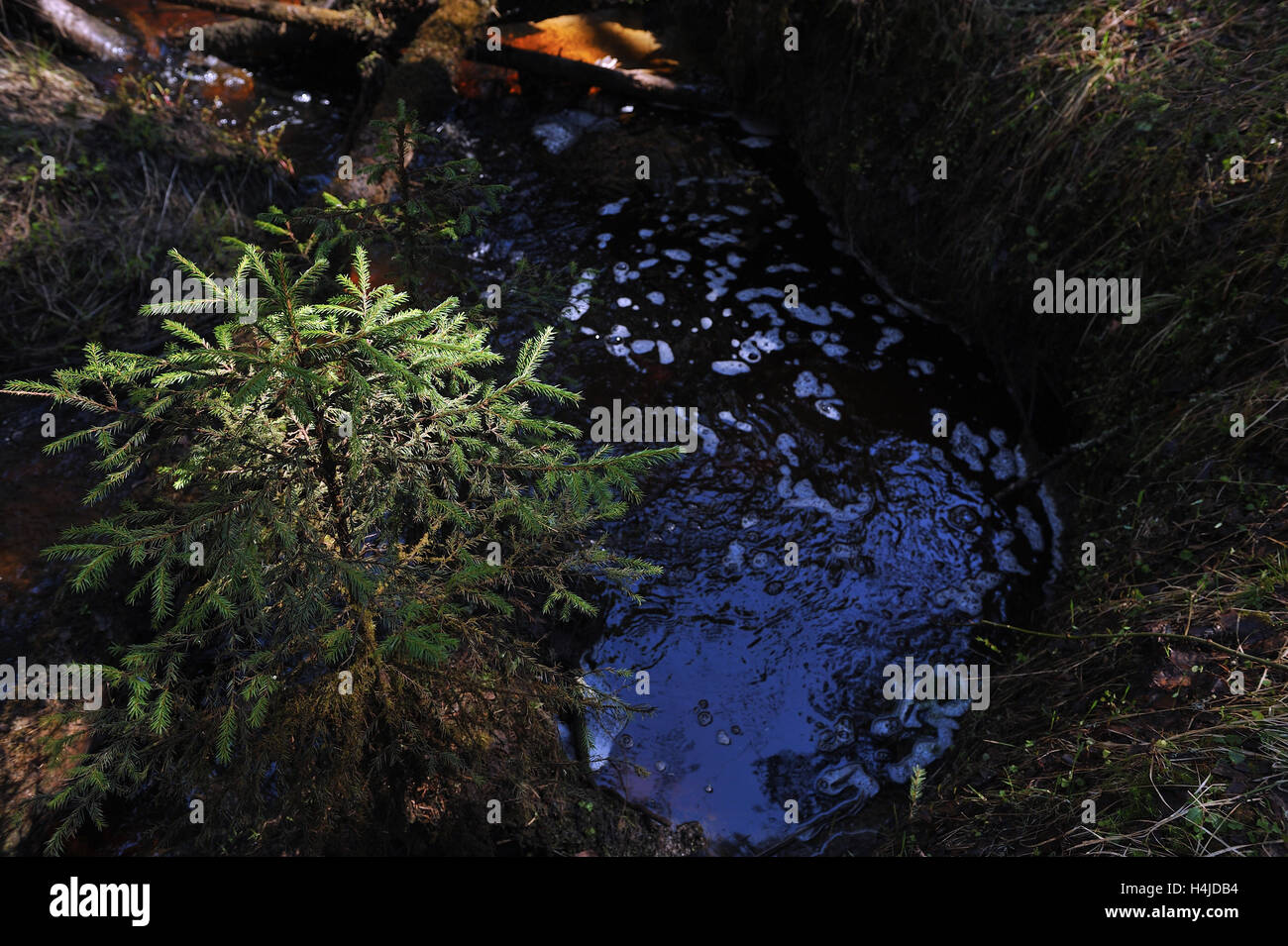 Brook little hi res stock photography and images Alamy