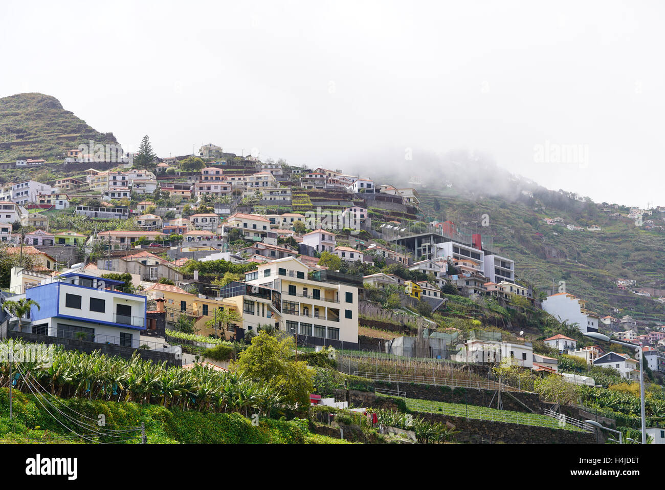 houses under the typical fog above Madeira Stock Photo