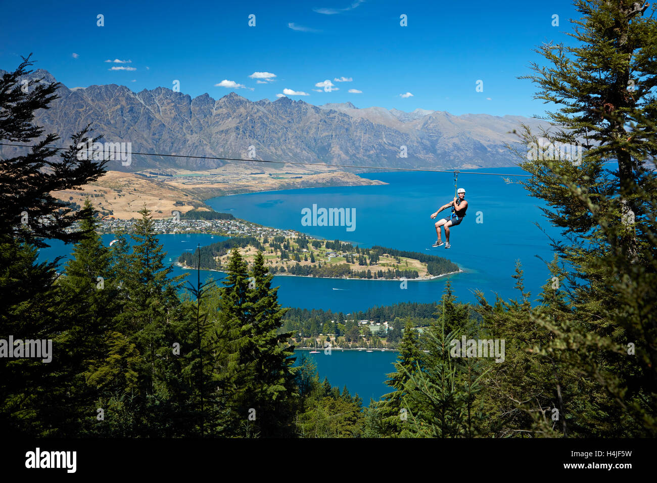 Ziplining at Skyline, above Lake Wakatipu and Queenstown, Otago, South Island, New Zealand Stock Photo