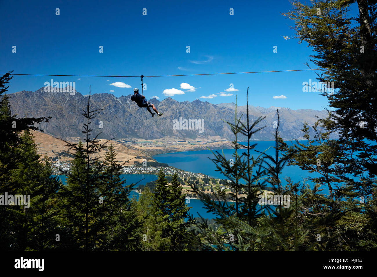 Ziplining at Skyline, above Lake Wakatipu and Queenstown, Otago, South Island, New Zealand Stock Photo