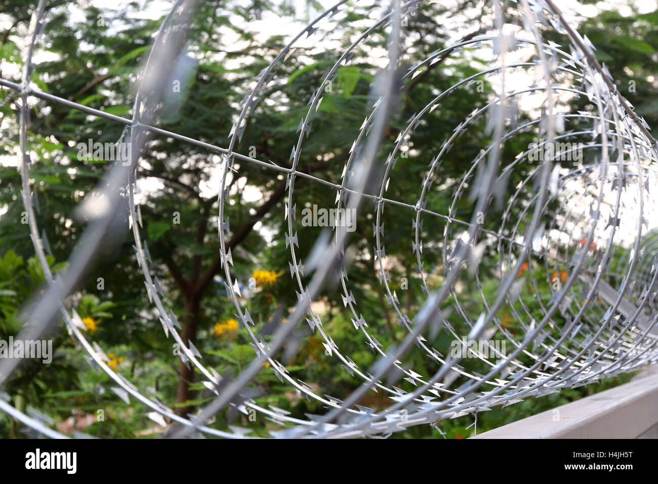 Secured with razor wire on top of the iron fence . Stock Photo
