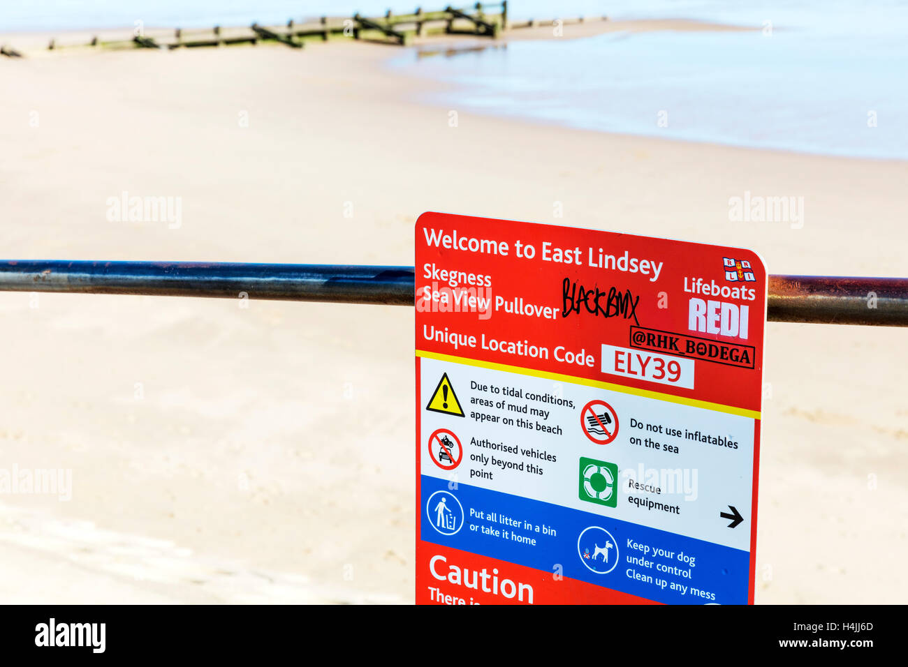 Does Skegness Beach Allow Dogs