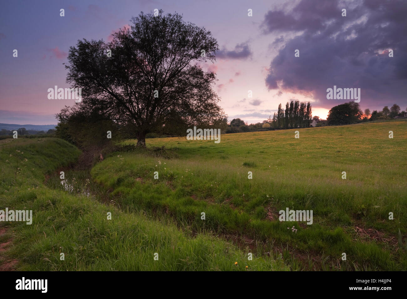 Evening next to Durleigh Brook on the edge of The Meads near Bridgwater, Somerset, England, United Kingdom, Europe Stock Photo