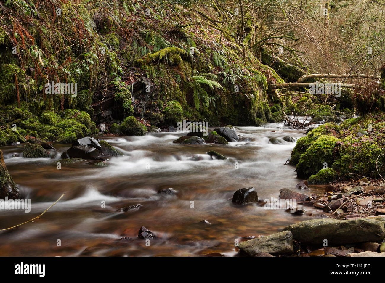 River Horner, Horner Water, on Exmoor, Somerset, England, United Kingdom, Europe Stock Photo