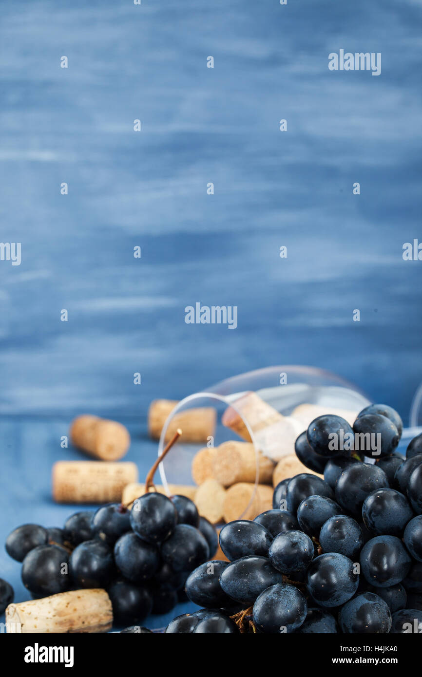 Branch of purple grape and wine corks on the table with glass and bottle on background Stock Photo
