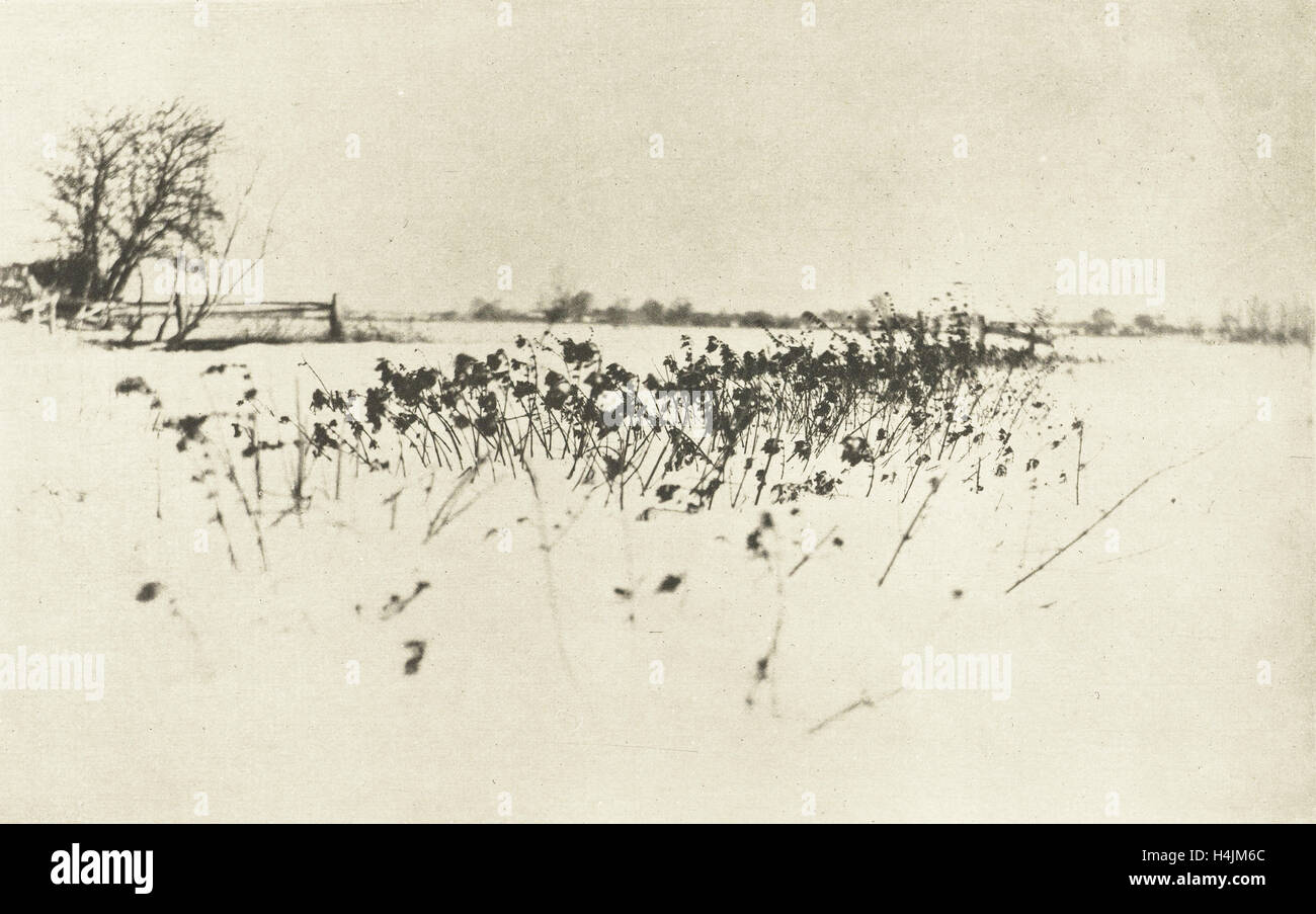 Snowy Landscape, Peter Henry Emerson, 1895 Stock Photo