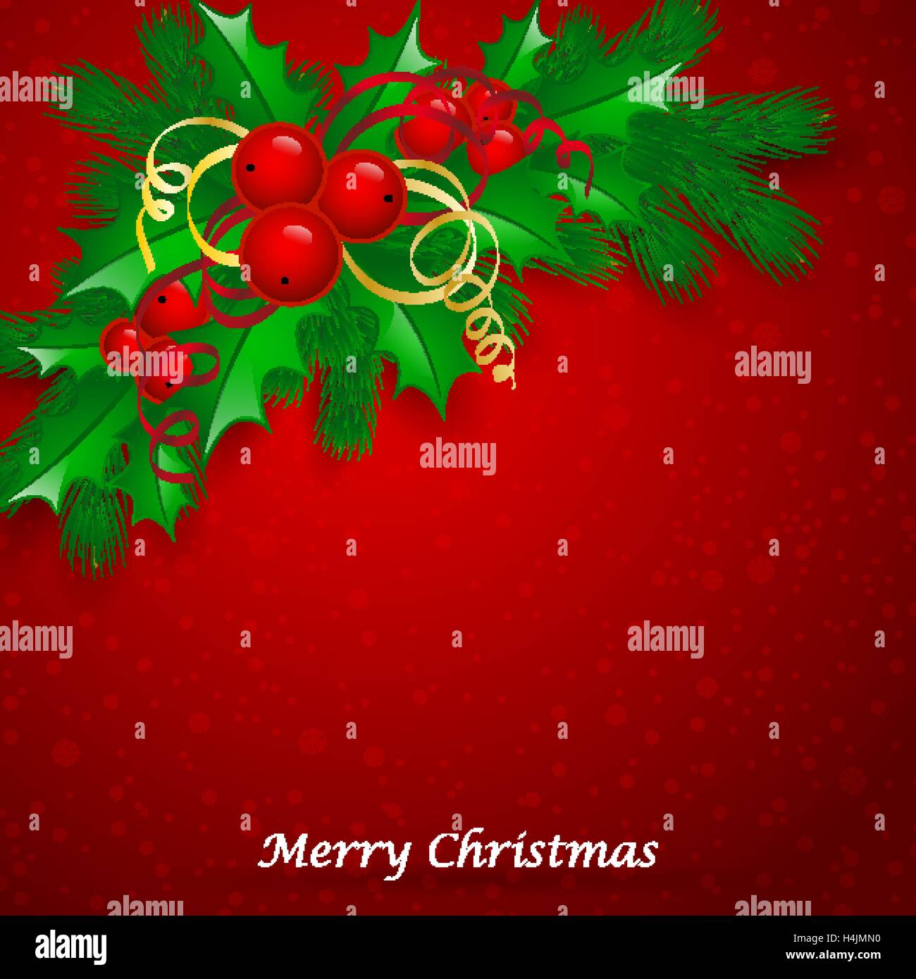 Vector Christmas holly with berries Stock Vector Image & Art - Alamy