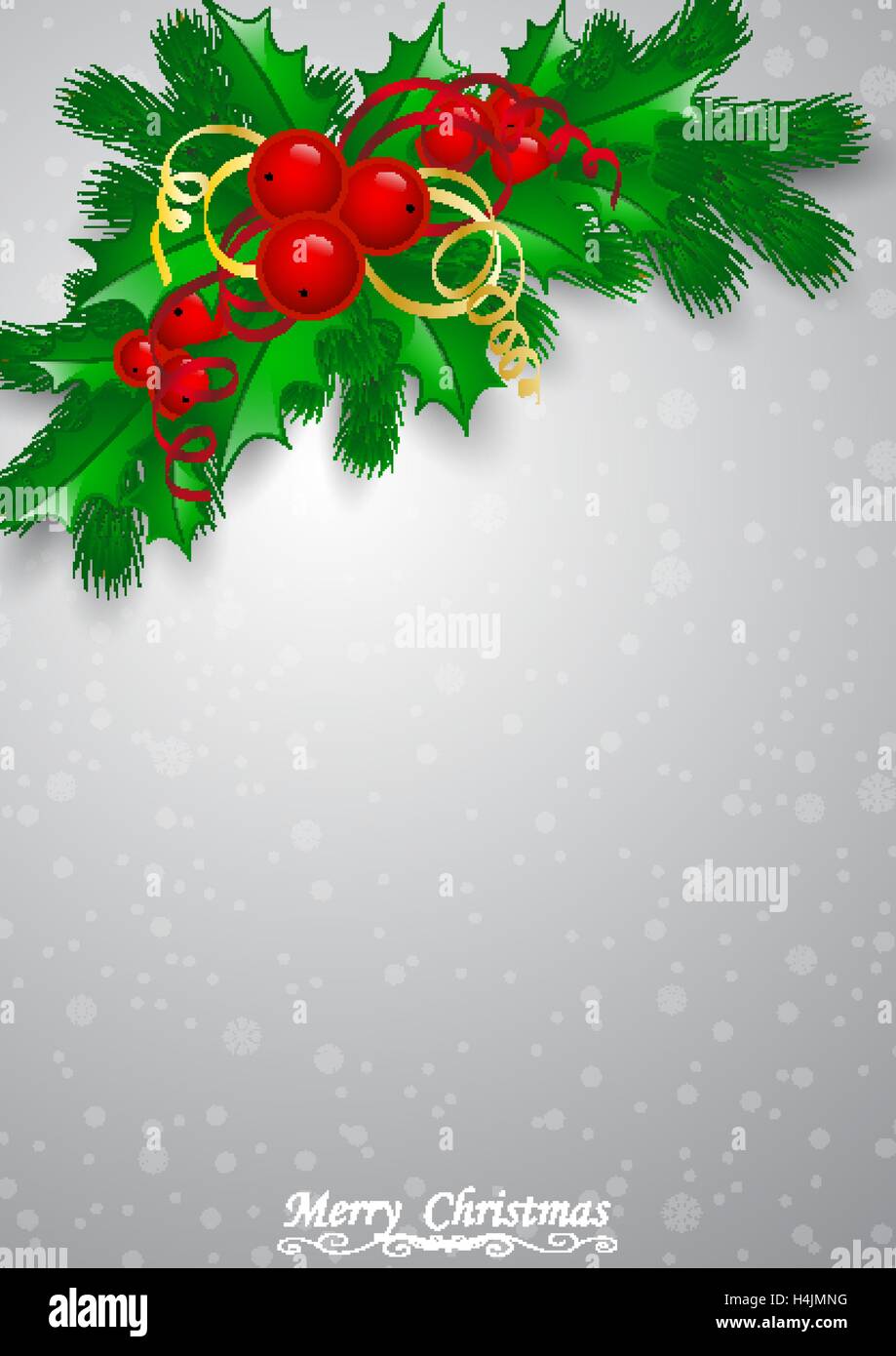 Vector Christmas holly with berries Stock Vector Image & Art - Alamy