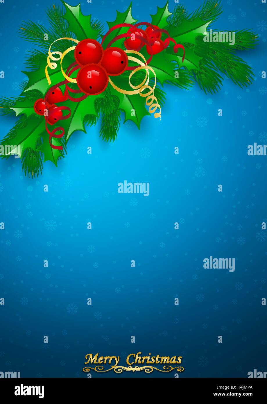 Vector Christmas holly with berries Stock Vector Image & Art - Alamy