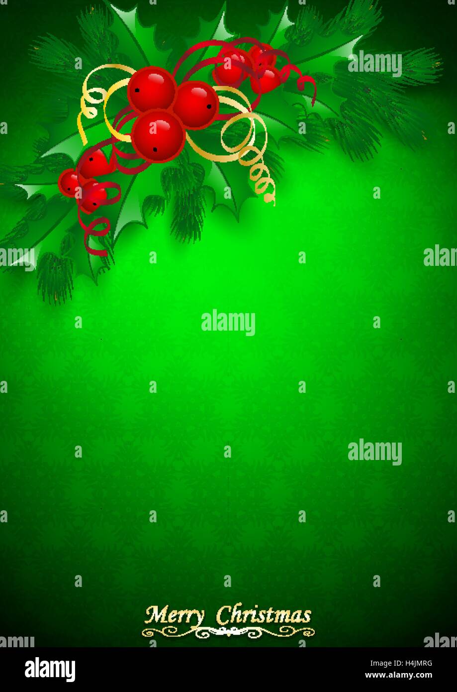 Vector Christmas holly with berries Stock Vector Image & Art - Alamy