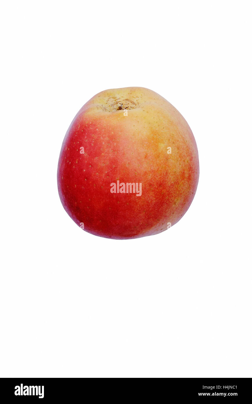 Pacific Rose apple Stock Photo Alamy