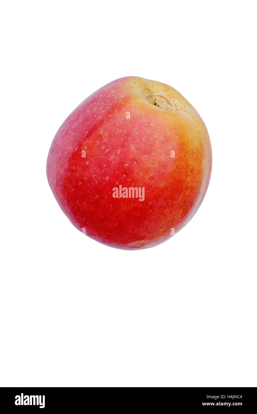 Pacific Rose apple Stock Photo Alamy