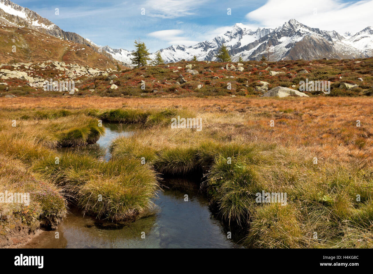 A small stream flows in the meadow, in autumnal atmosphere Stock Photo ...