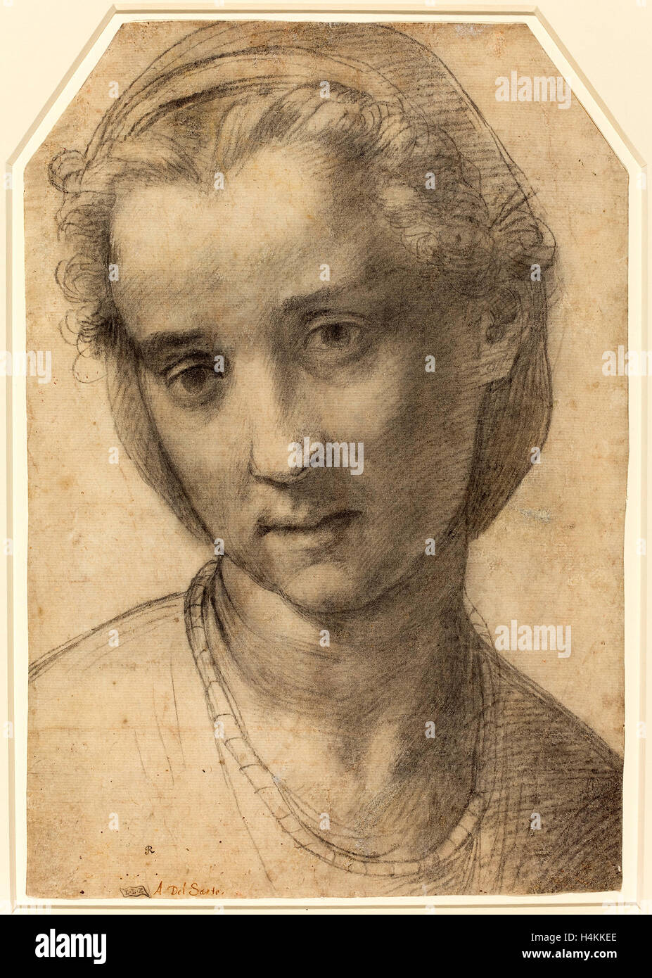 Andrea del Sarto (Italian, 1486 - 1530), Head of a Woman, c. 1515, black chalk on laid paper Stock Photo