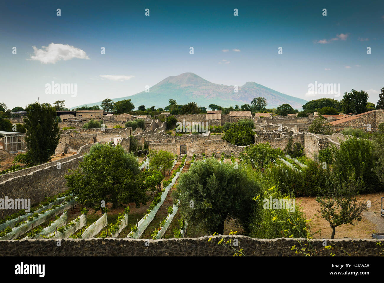 Pompeii, Italy - Ruins of the forum with Vesuvius Stock Photo