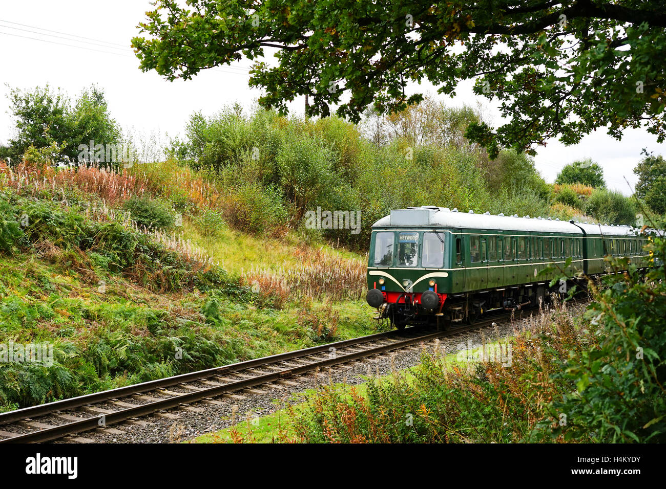Local commuter diesel trian passing through Burrs Country Park, Bury, Lancashire,UK. Stock Photo