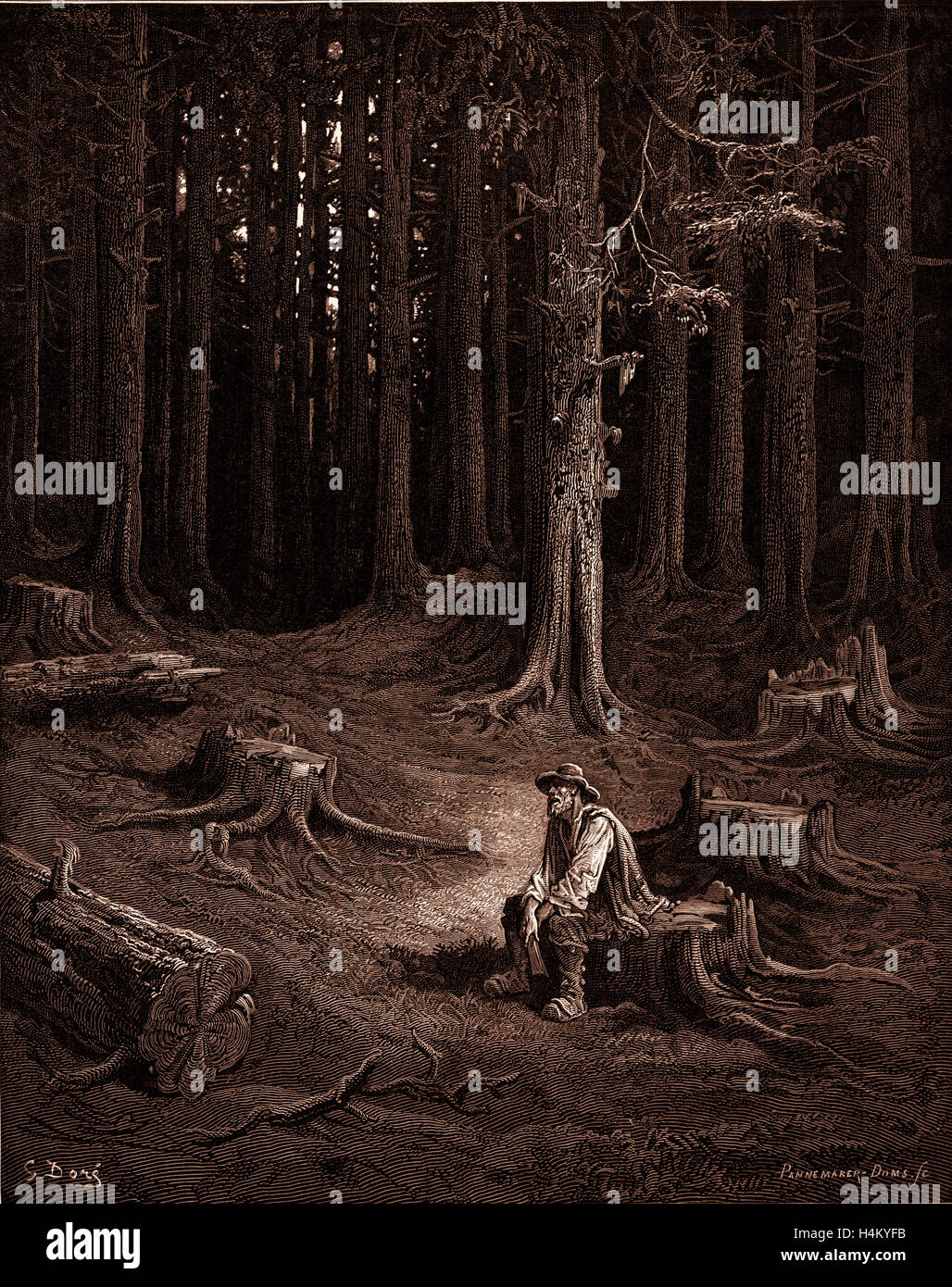 The Forest and the Woodman Stock Photo Alamy