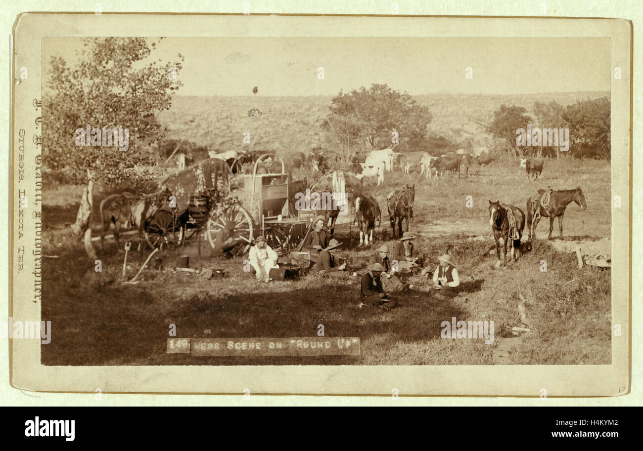 Mess Scene on Round Up Stock Photo - Alamy