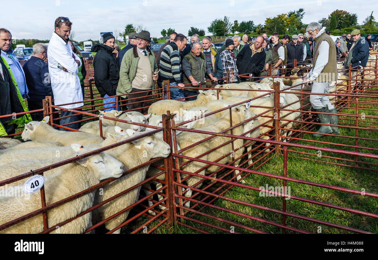 Corby Glen Sheep Fair, Grantham, Lincolnshire People waiting for the