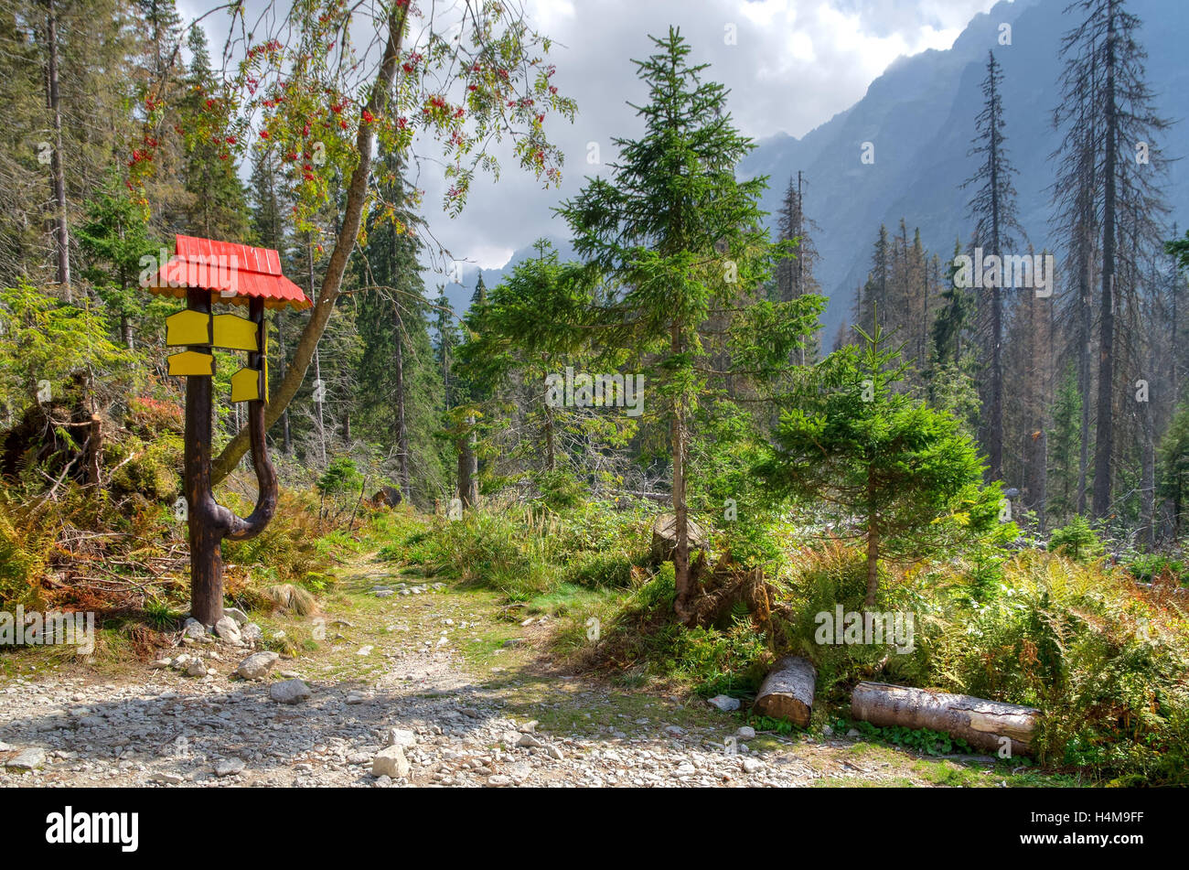 Sign indicating the trails in a beautiful mountain scenery. Stock Photo