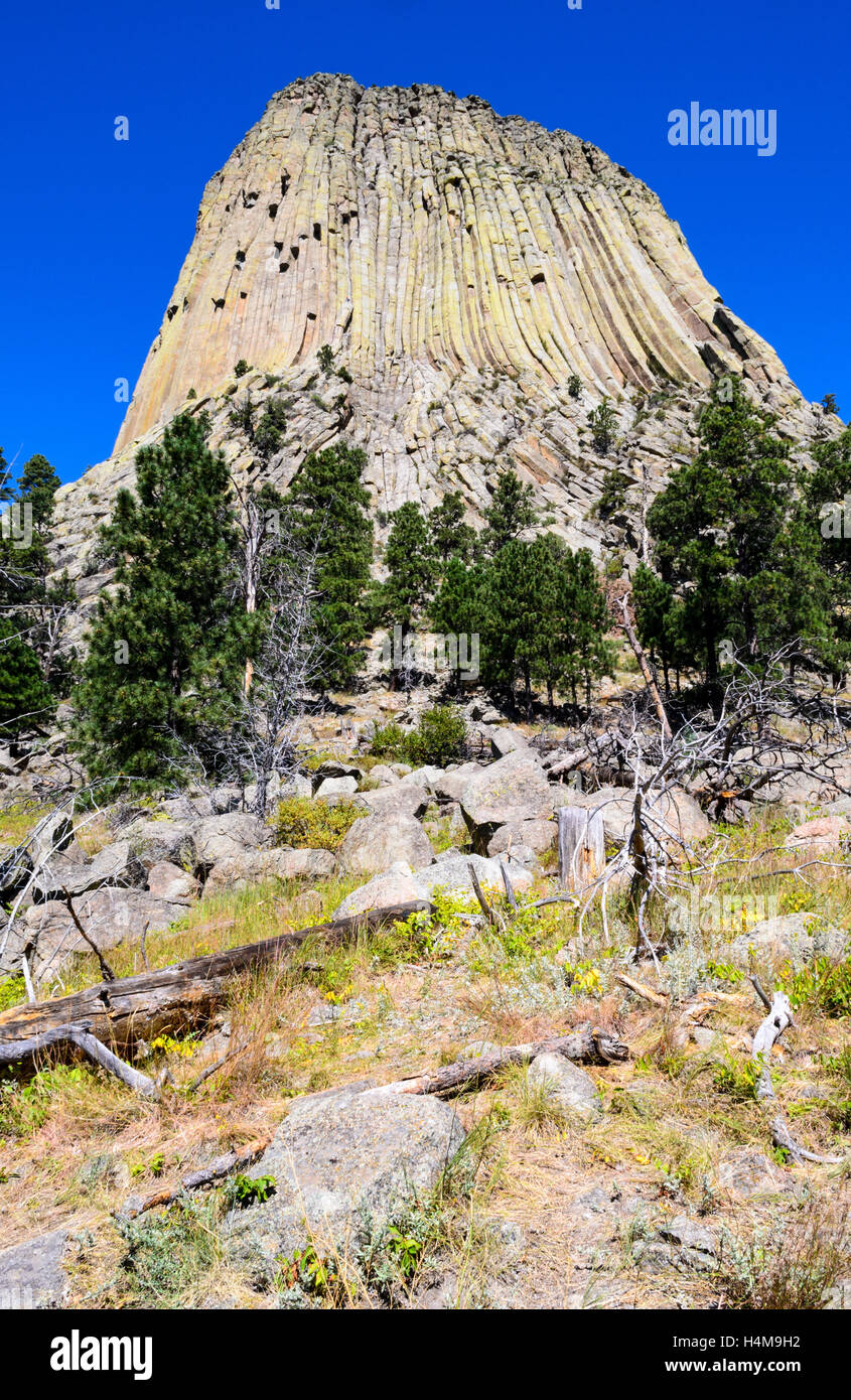 Devils Tower Stock Photo