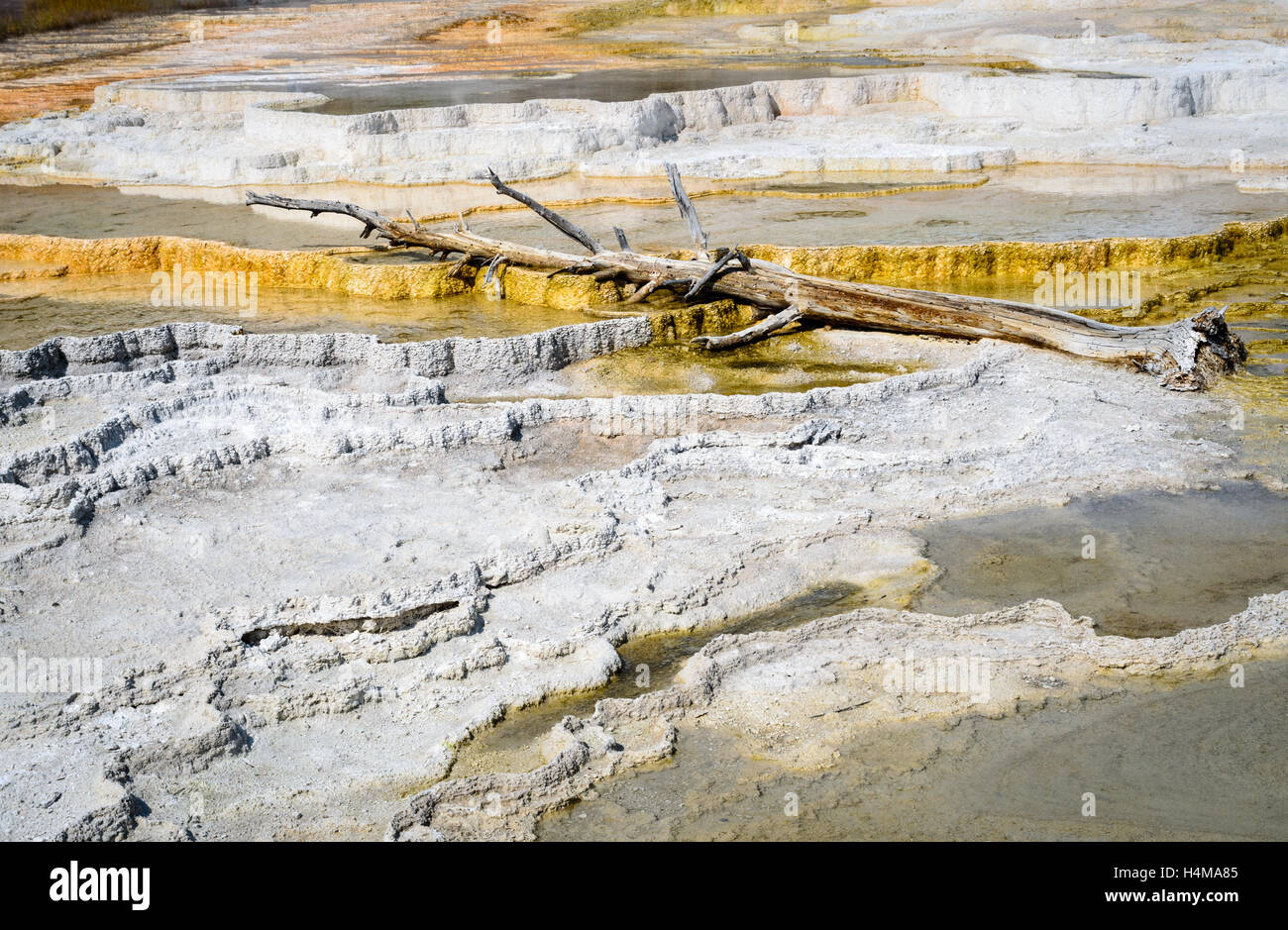 Yellowstone National Park Stock Photo - Alamy