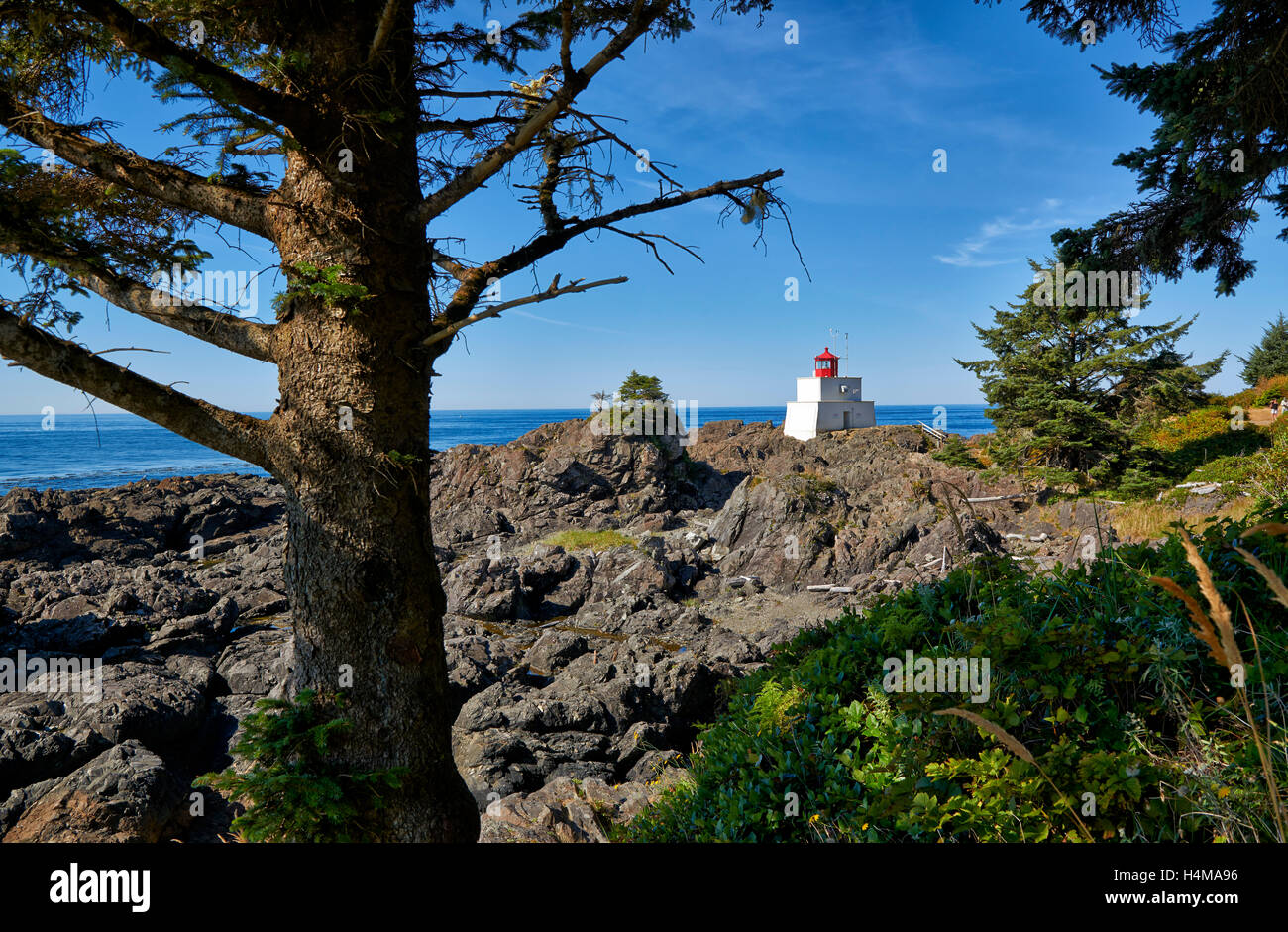 Amphitrite Lighthouse at Wild Pacific Trail, Pacific Rim National Park ...
