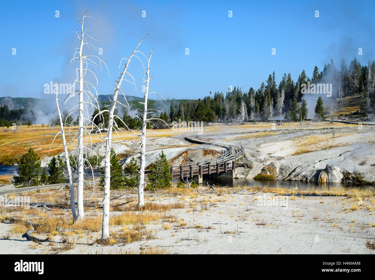 Yellowstone National Park Stock Photo Alamy