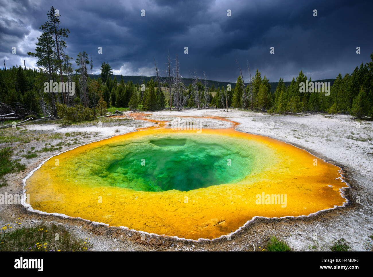 Yellowstone National Park Stock Photo Alamy
