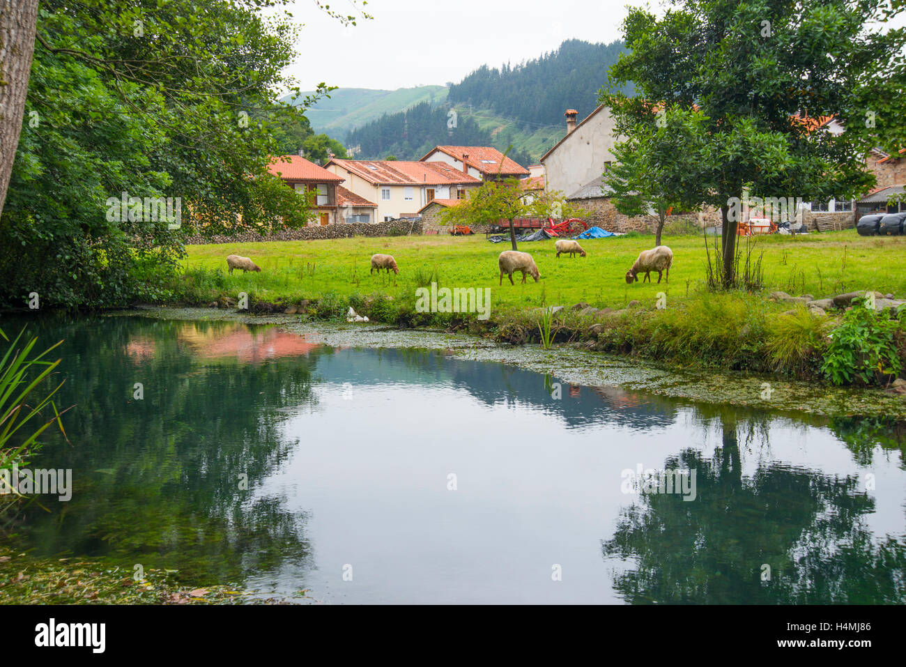 Bucolic landscape. Ruente, Cantabria, Spain. Stock Photo