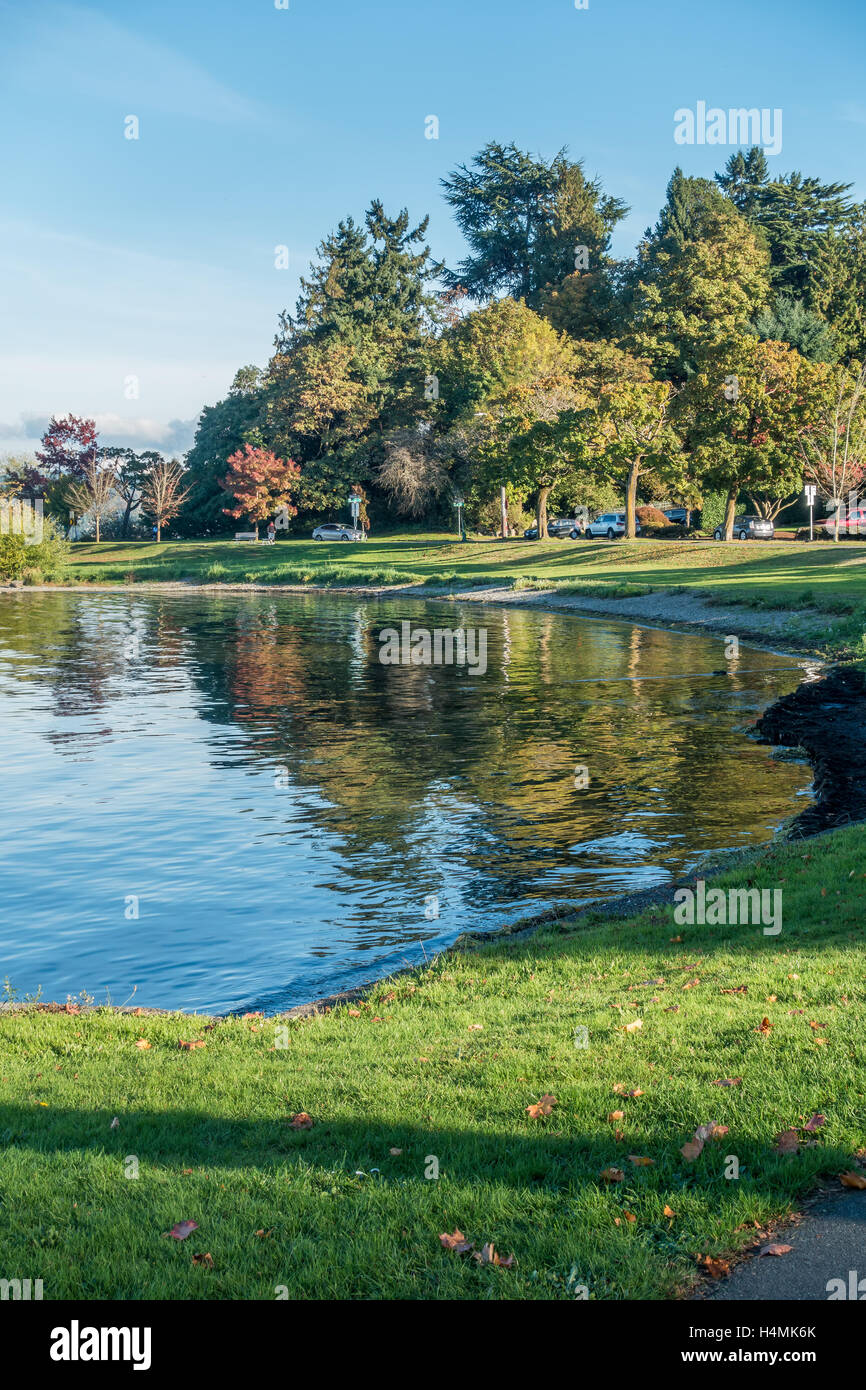 A view of the shoreline of Lake Washington near Seattle Stock Photo - Alamy