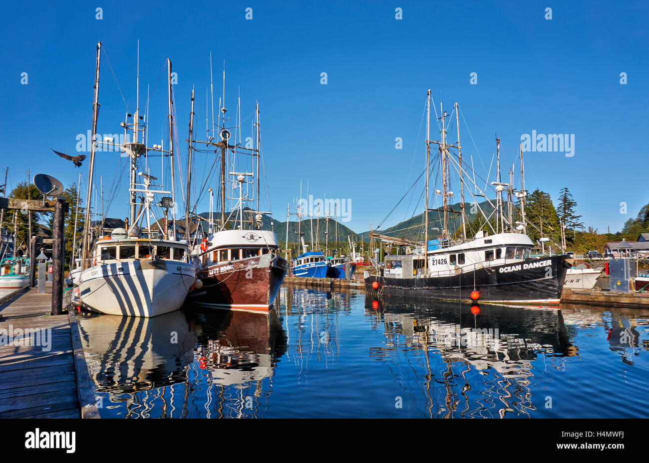 Vessels in harbor of Ucluelet, Vancouver Island, British Columbia, Canada Stock Photo