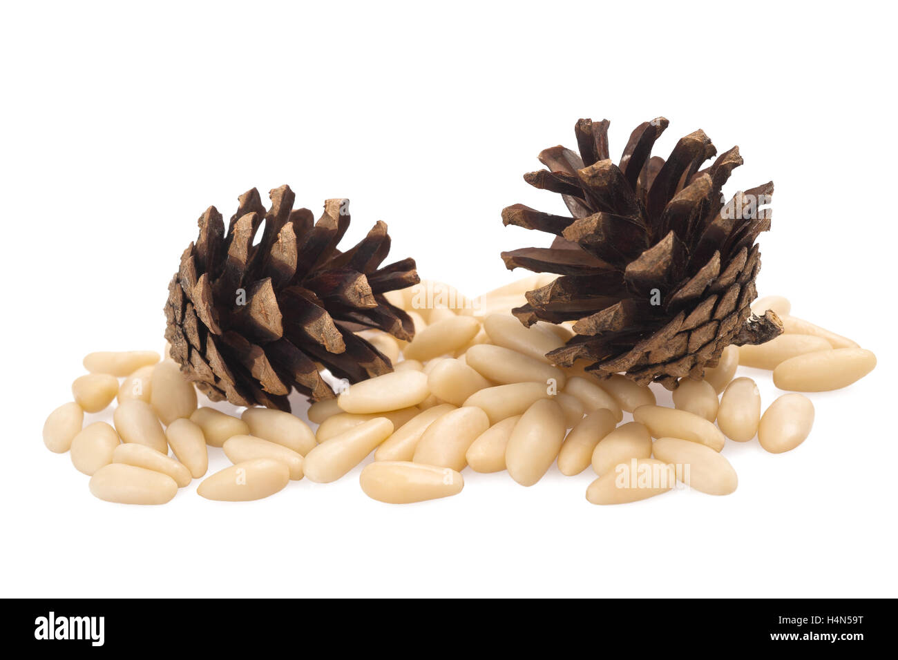pine cones and pine nuts Stock Photo