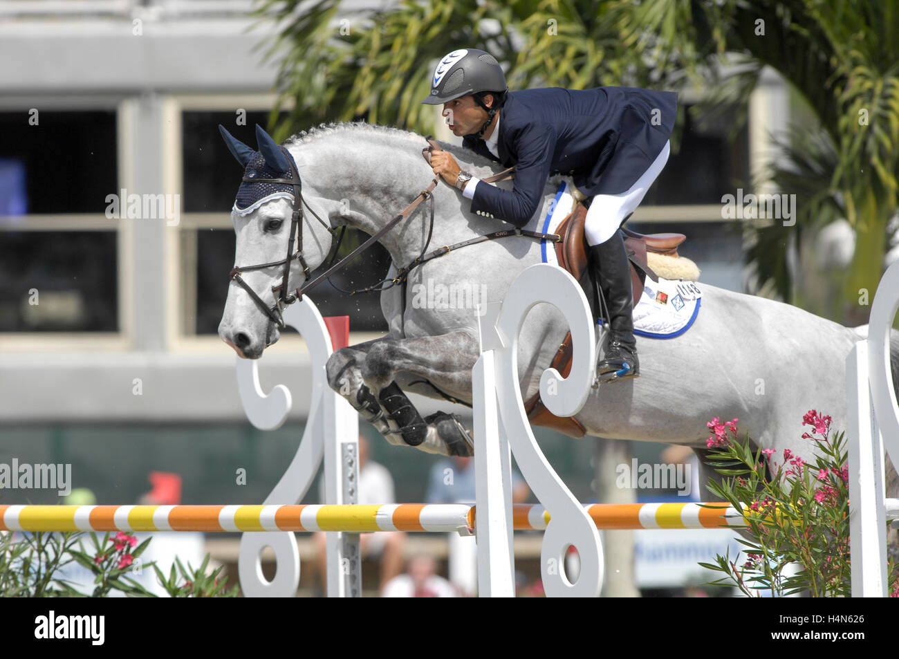 Rodrigo Pessoa (BRA) riding Coeur, Winter Equestrian Festival