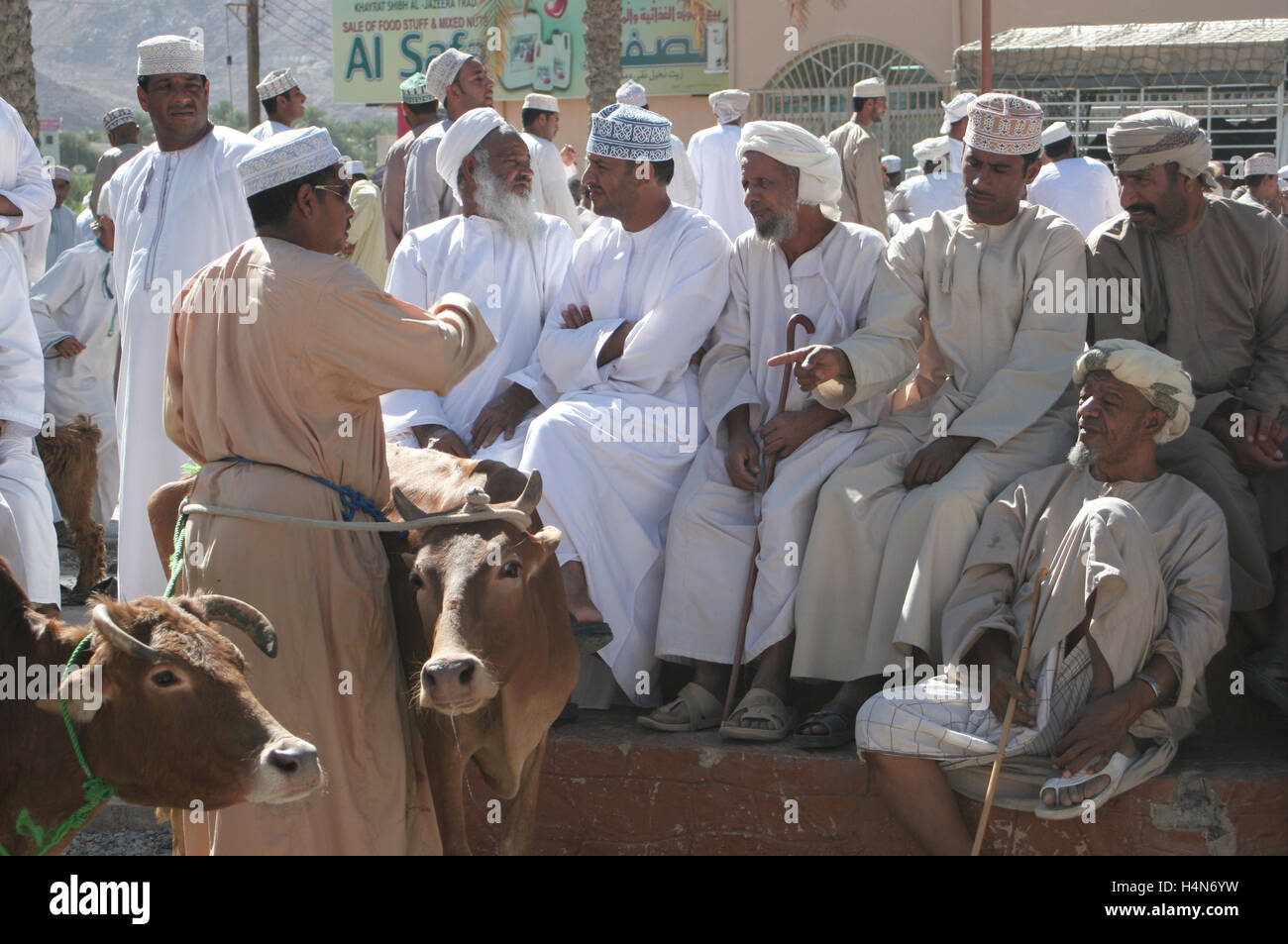 The cattle market in Nizwa, Oman. Local tribesmen trade cattle and goats at the market in the ancient Capital of Oman Stock Photo