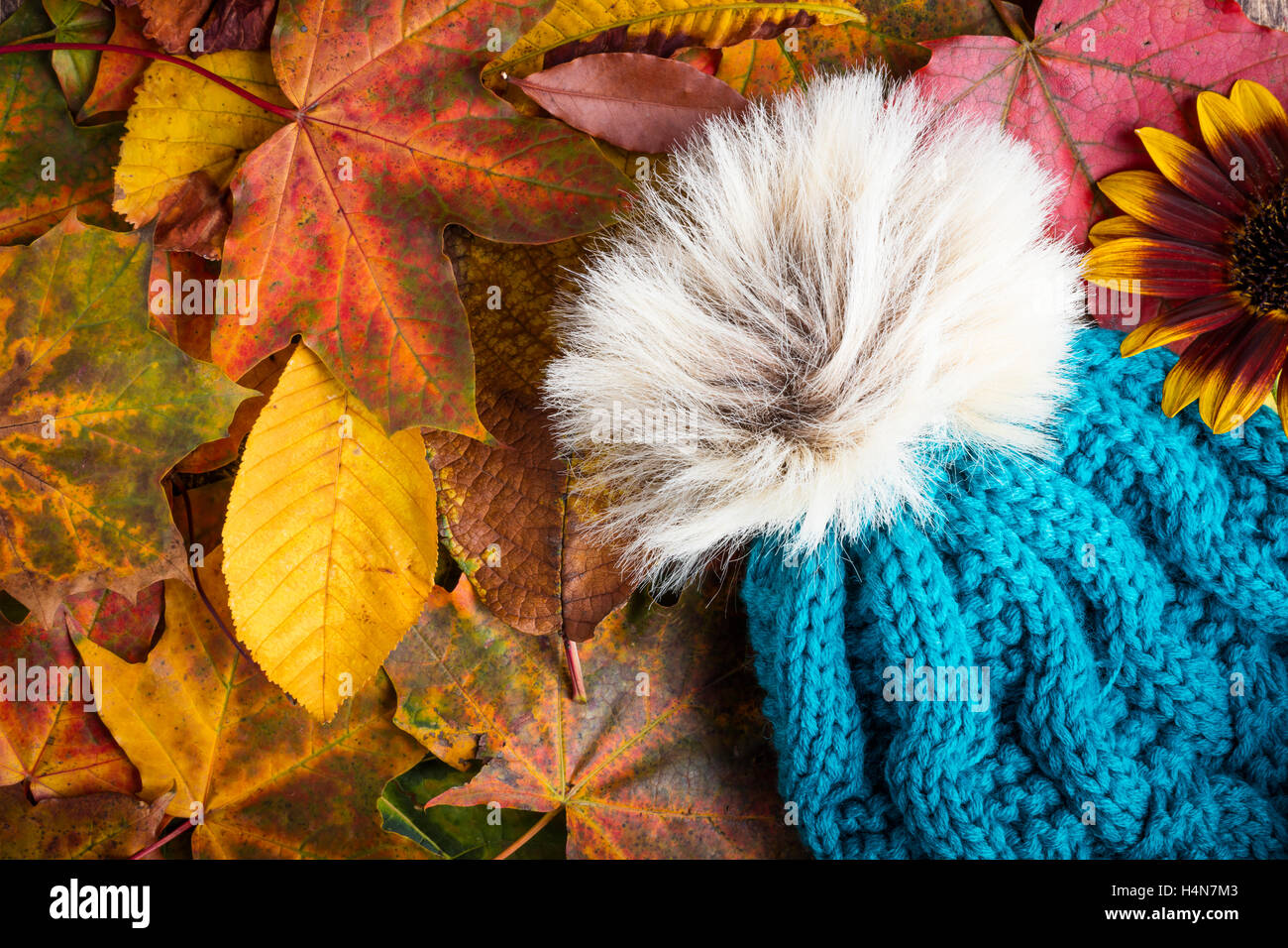 fall autumn beanie cap hat cold bad weather leaves Stock Photo