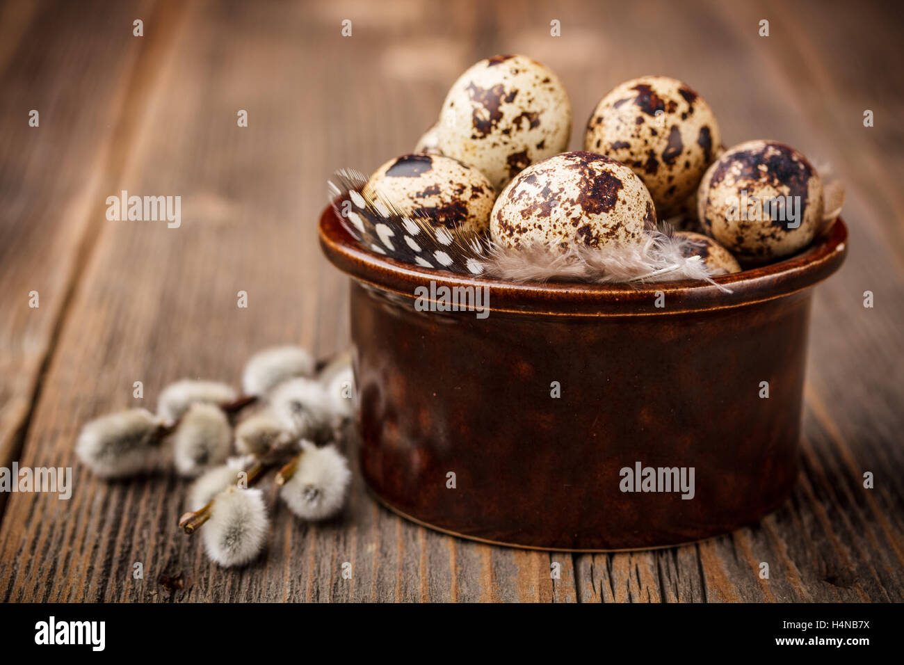 Quail eggs and willow branches on rustic wooden background Stock Photo ...