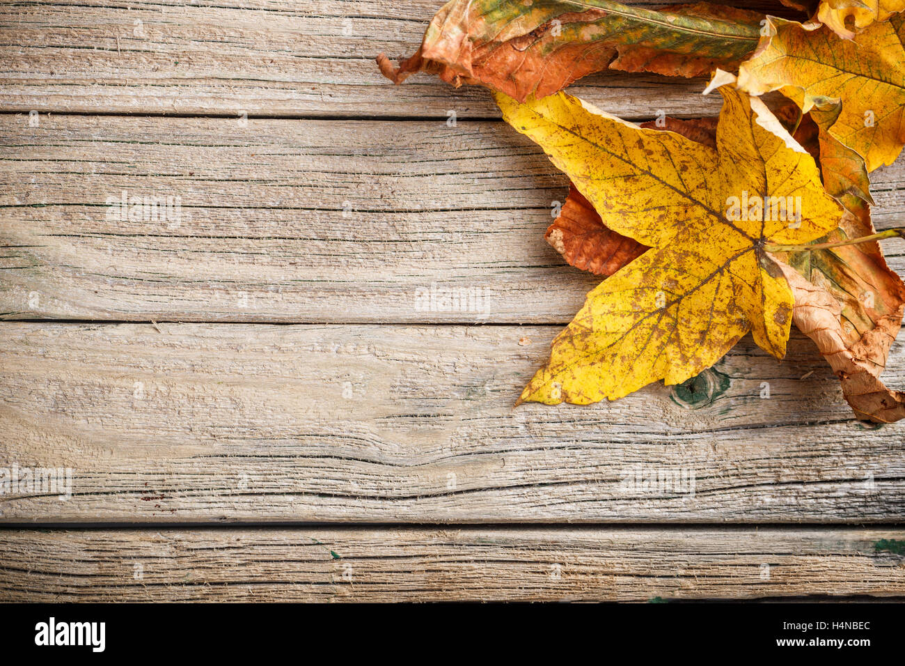 Autumn leaves over wooden background with copy space Stock Photo - Alamy