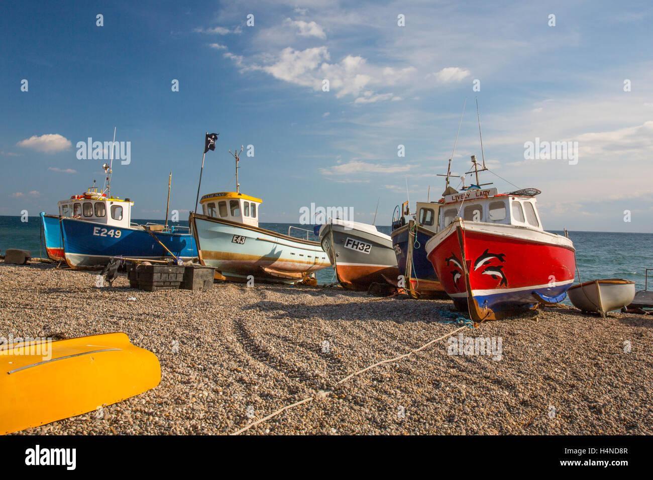 Colourful fishing boats hauled up on the pebble beach at Beer on the ...