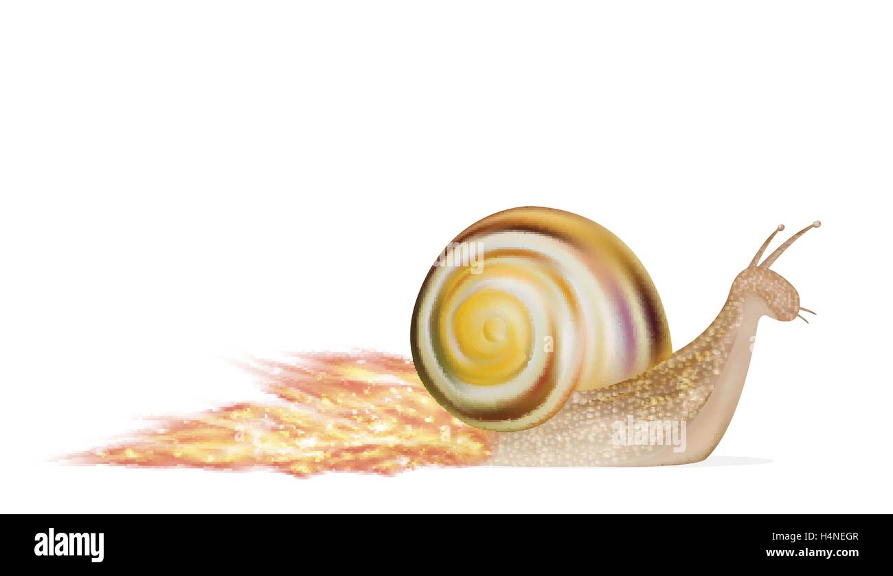 Скорость улитки м с. Скоростная улитка. Snail на белом фоне. Скорость улитки. Улитка рисунок скорость.