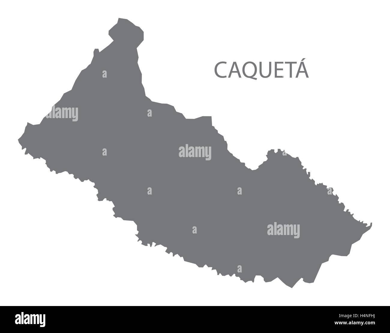 Caqueta Colombia Map in grey Stock Vector