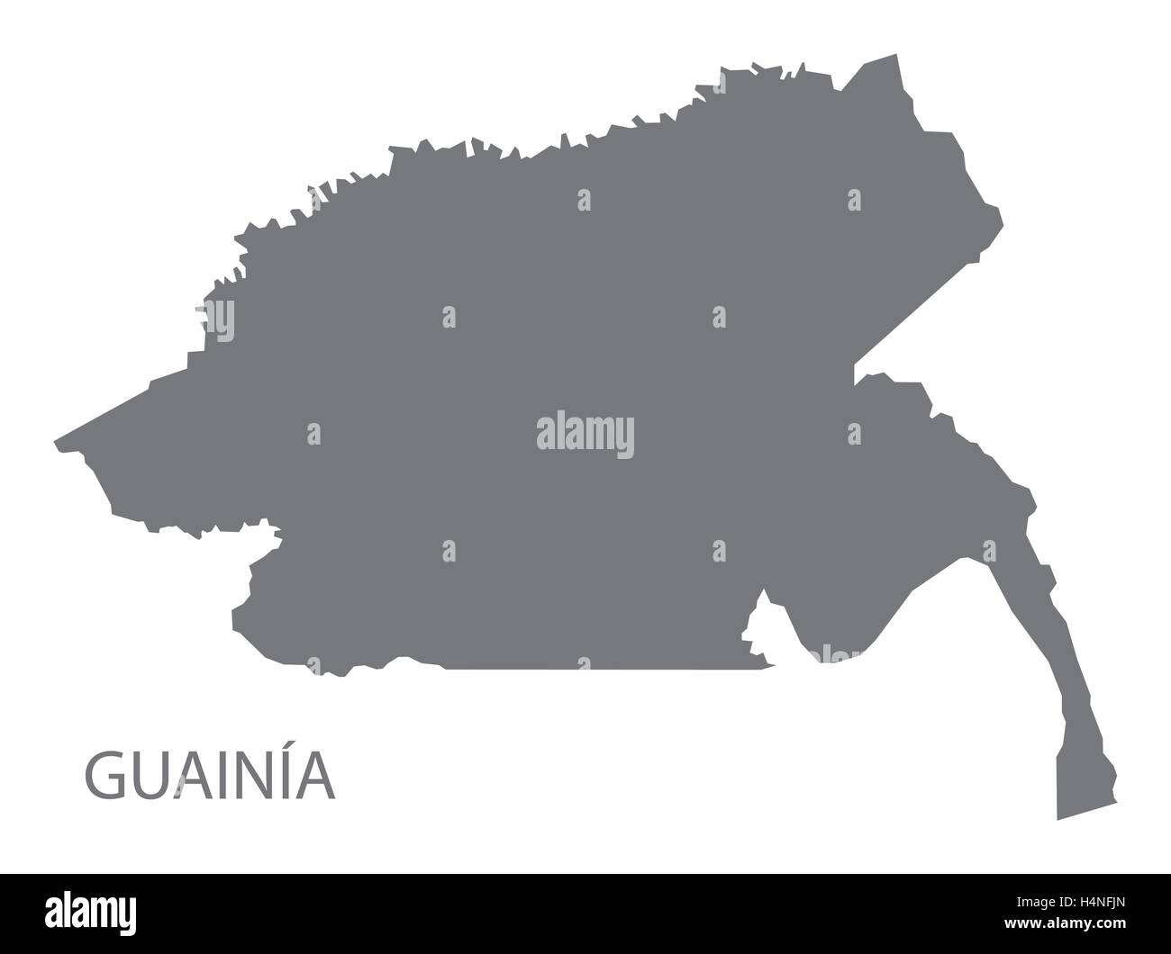 Guainia Colombia Map in grey Stock Vector