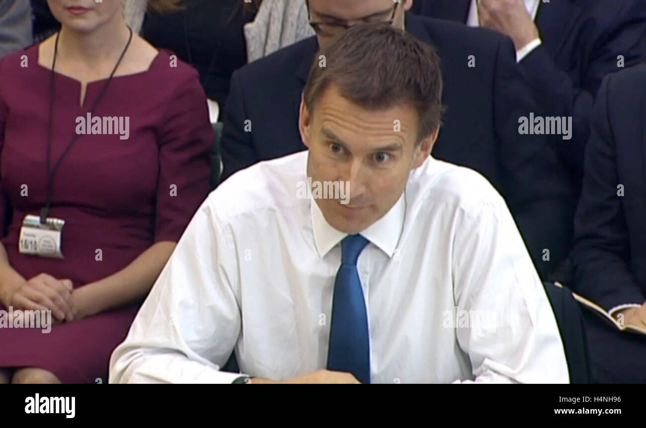 Health Secretary Jeremy Hunt gives evidence to the Health Select ...