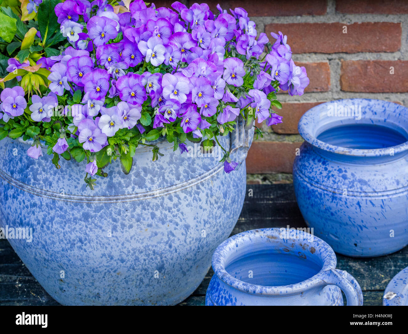 Flower pots, Netherlands Stock Photo Alamy