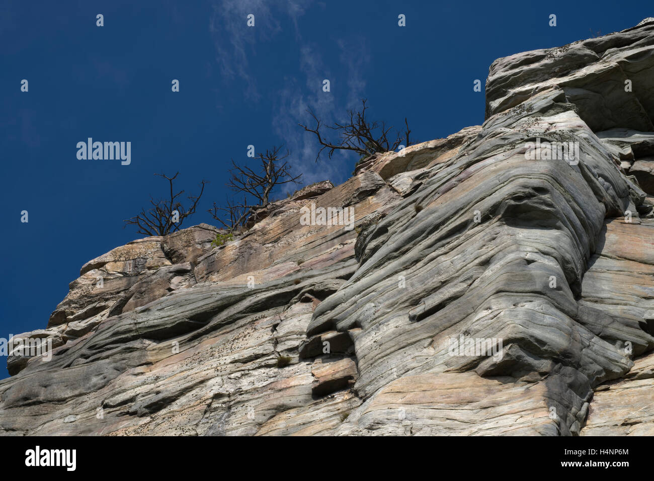 Looking up the metamorphic quartzite to  trees atop the Big Pinnacle in Pilot Mountain State Park. North Carolina Stock Photo