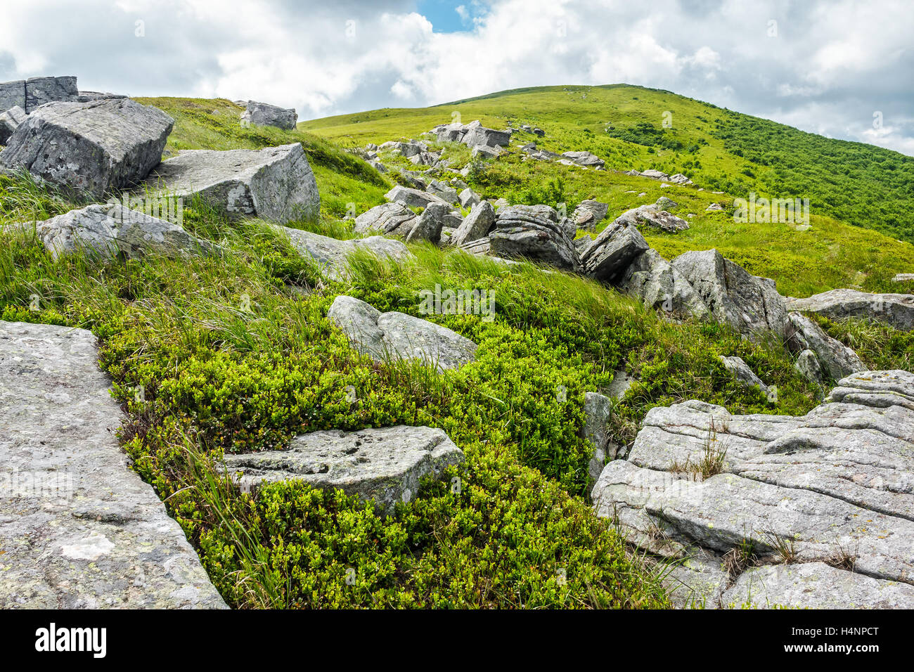 white sharp stones and boulders on the hillside on top of Carpathian ...